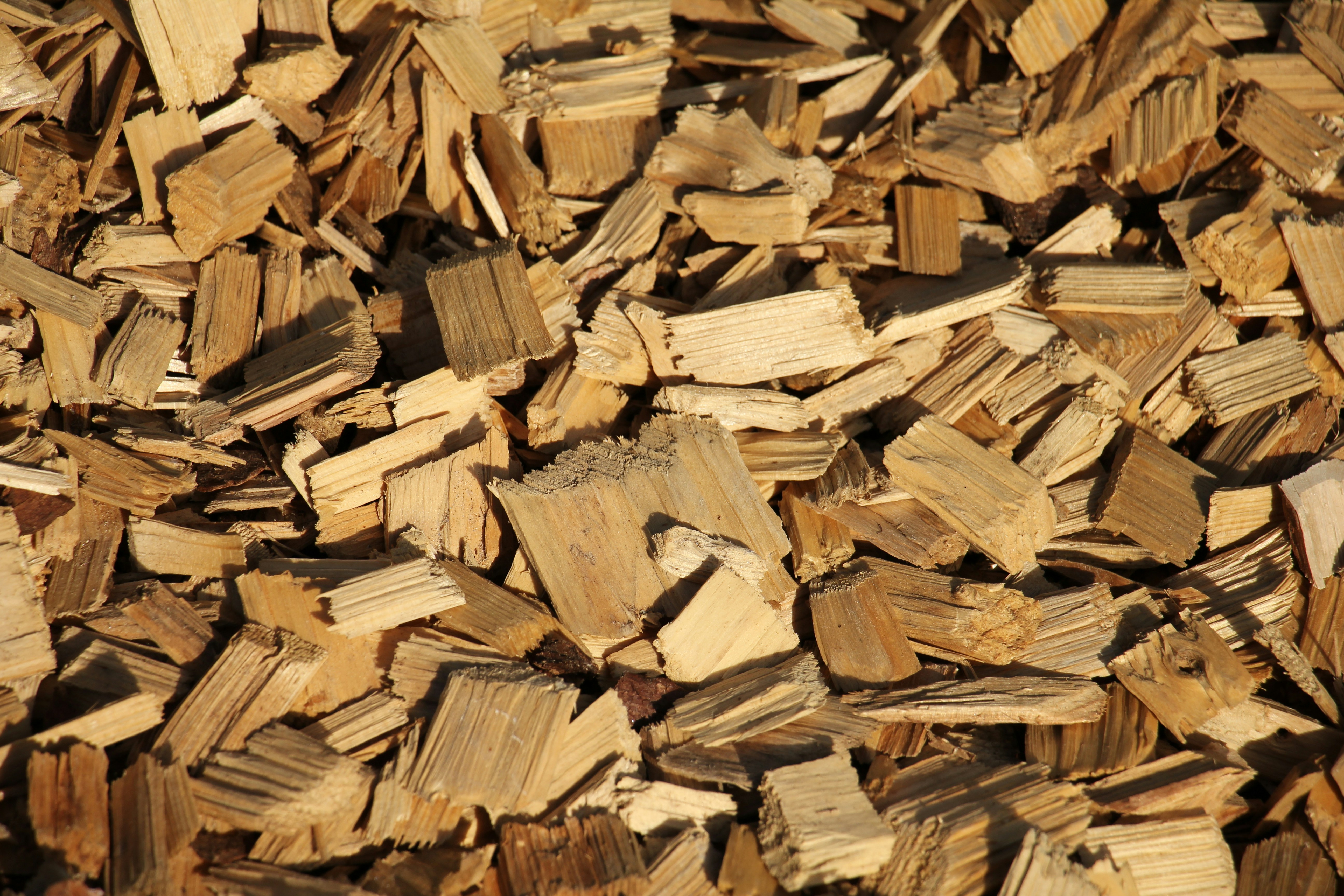 close up of wood chips