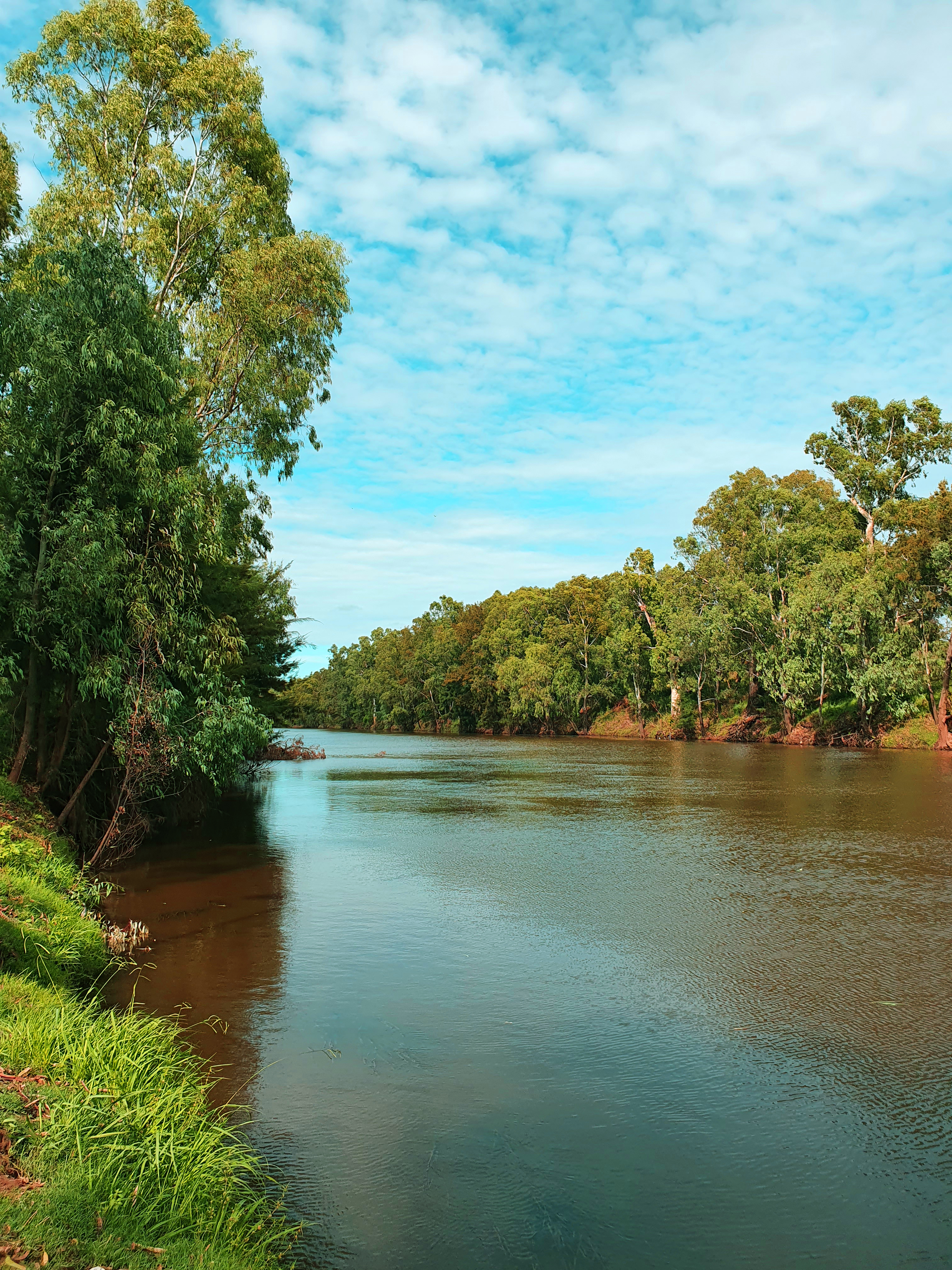 The Macquarie River, which runs through the Central West Orana region of NSW.